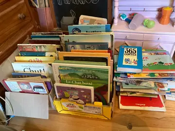 bonjour , à donner albums pour enfants. soit aujourd’hui soit à partir du 4/08 à Montarlot.