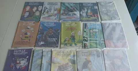Lot magazines neufs Famille & éducation