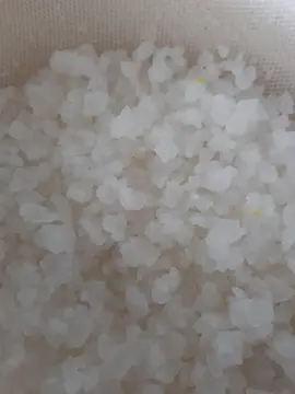 Grains de kéfir