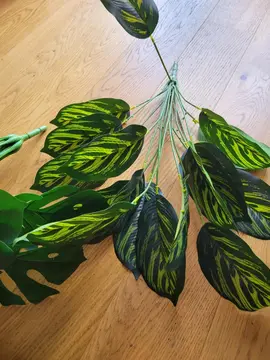 Fausses plantes
