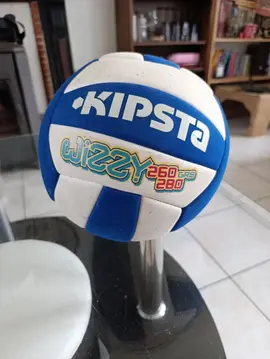 Ballon de beach volley