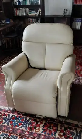 Fauteuil Releveur électrique