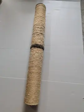 griffoir chats