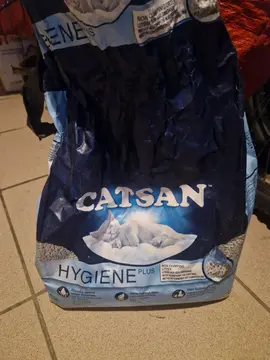 litière chat