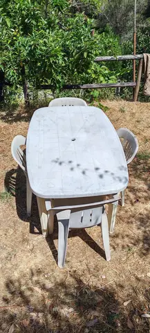 Table de jardin