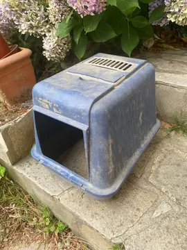 litière chat