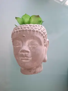 tete bouddha avec plante plastique