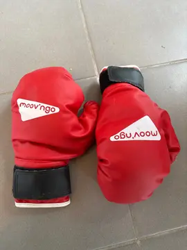 gants boxe