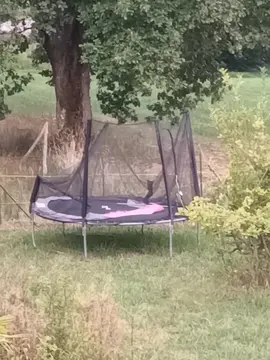 trampoline