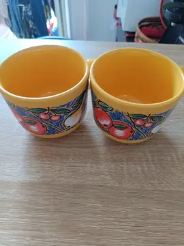 Lot de 2 bol/tasse