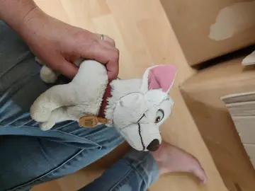doudou volt