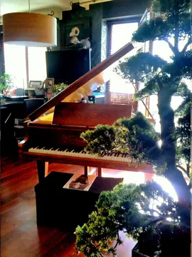 Piano 1/2 queur