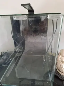 Aquarium