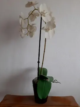 orchidée artificielle