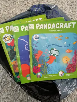 revue pandacraft