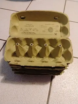 10 boîtes de 10 oeufs (vides)