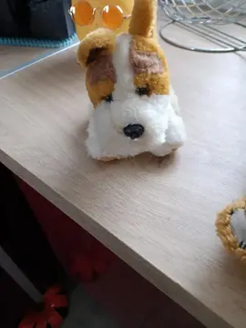 peluche