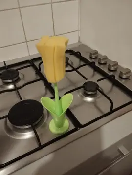 brosse éponge