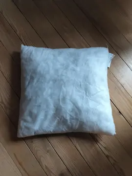 Rembourrage de coussin IKEA Inner 50x50