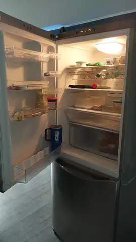 frigo
