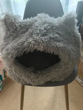 niche pour chat