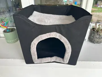 maison pour chat