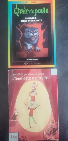 2 livres collége
