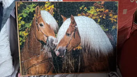 Puzzle cheval collé