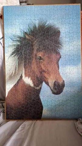 Puzzle poney collé