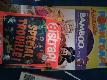 bamboo mag
