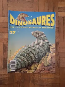 Magazine sur les Dinosaures