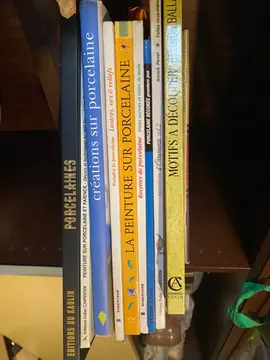 Lot de livres porcelaine