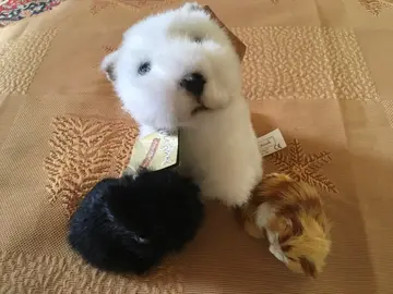lot de 3 petites peluches