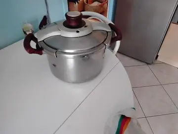cocotte mi ute seb