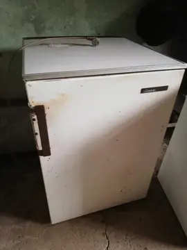 Frigo