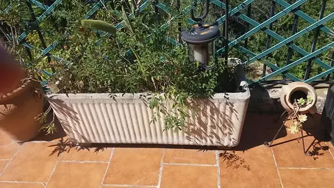 Grande jardinière avec plantes très bon état