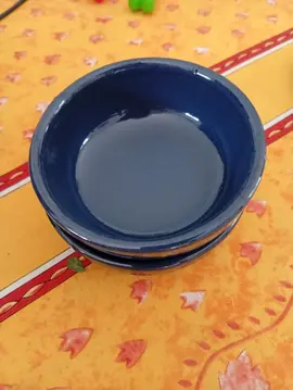 2 petits pot type crème brulée