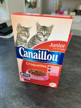 croquettes chat 2 à 12 mois
