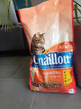 Croquette chat