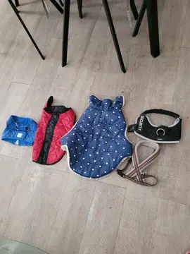 vetements pour petit chien