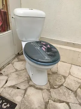 Toilettes WC