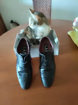 chaussures homme p 44