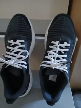 une paire de basket pointure 39