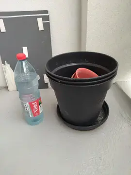 pot de fleur