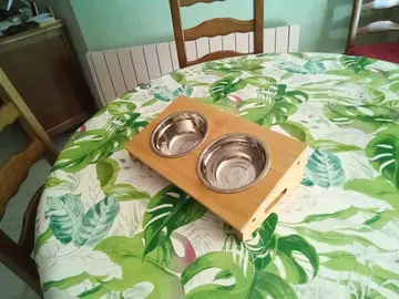Accessoires petit chien