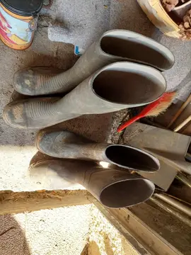 2 paires de bottes