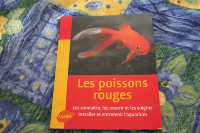 livre "les poissons rouges"