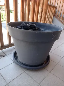 pot jardinage