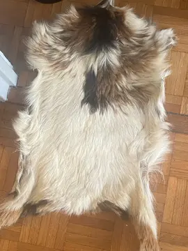 tapis acheté au Maroc