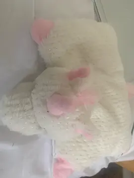 peluche
